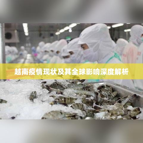 越南疫情现状及其全球影响深度解析