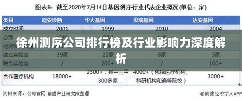 徐州测序公司排行榜及行业影响力深度解析