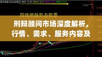 刑辩顾问市场深度解析，行情、需求、服务内容及未来趋势展望