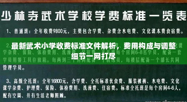 最新武术小学收费标准文件解析，费用构成与调整细节一网打尽