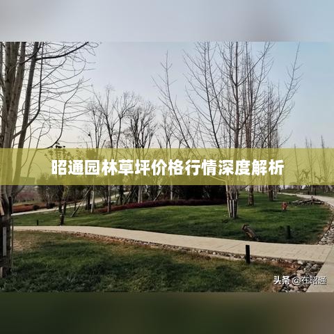 昭通园林草坪价格行情深度解析