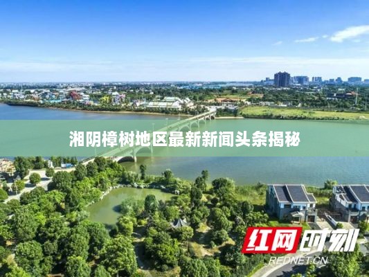 湘阴樟树地区最新新闻头条揭秘