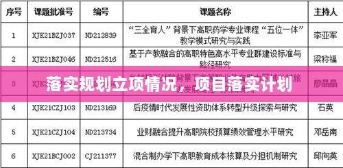 落实规划立项情况，项目落实计划 