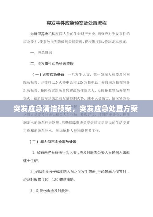 突发应急清洁预案，突发应急处置方案 