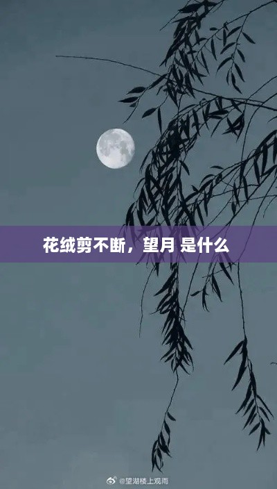 花绒剪不断，望月 是什么 