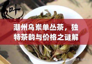 潮州乌岽单丛茶，独特茶韵与价格之谜解密