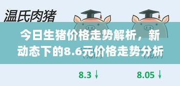 今日生猪价格走势解析，新动态下的8.6元价格走势分析