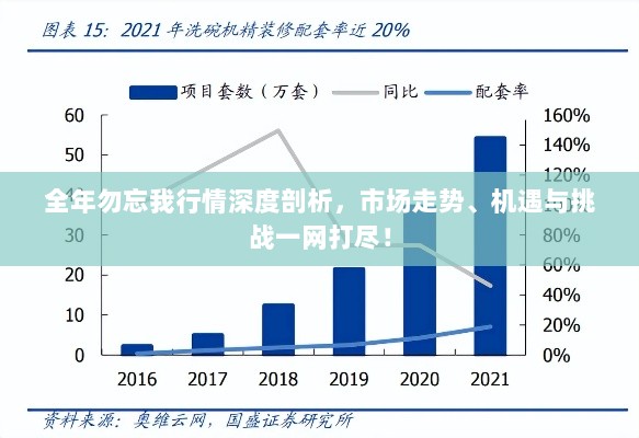 全年勿忘我行情深度剖析，市场走势、机遇与挑战一网打尽！