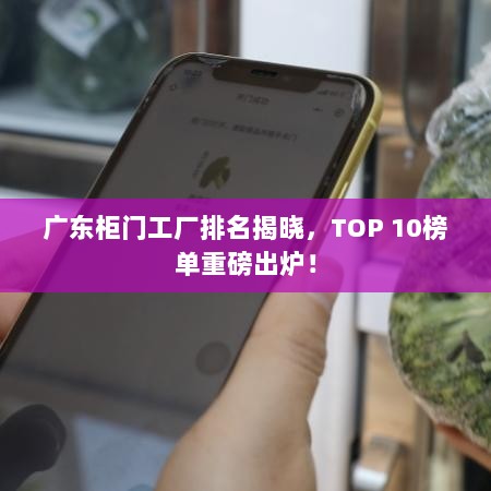 广东柜门工厂排名揭晓，TOP 10榜单重磅出炉！